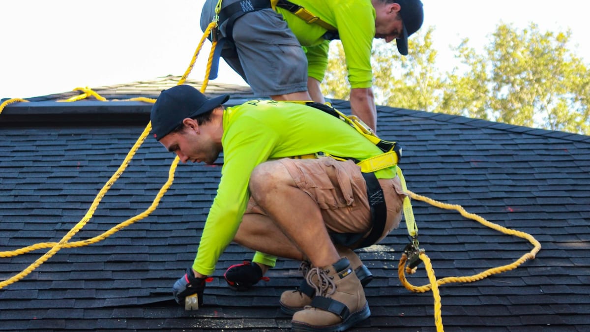 Roofer in a safety harness crouches on a dark shingle roof and works on the shingles with gloved hands.