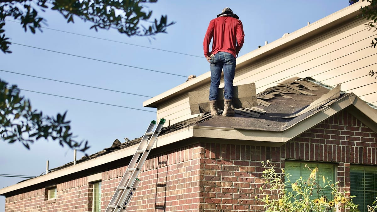 A person stands on a shingle roof beside a ladder leaning against a brick house, looking over worn shingles.